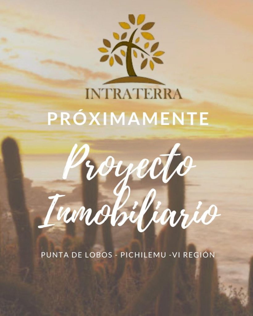 Proyecto Inmobiliario Pichilemu